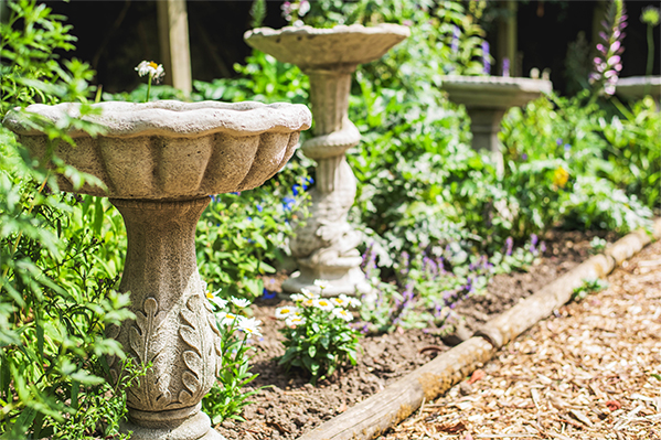 Bird Baths